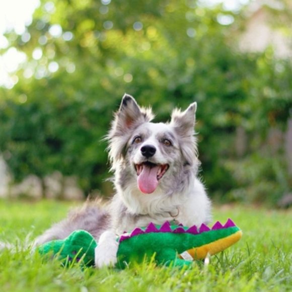 ZippyPaws Grunterz Alvin the Alligator Plush Dog 19" Toy NWT/NEW! - Picture 5 of 14